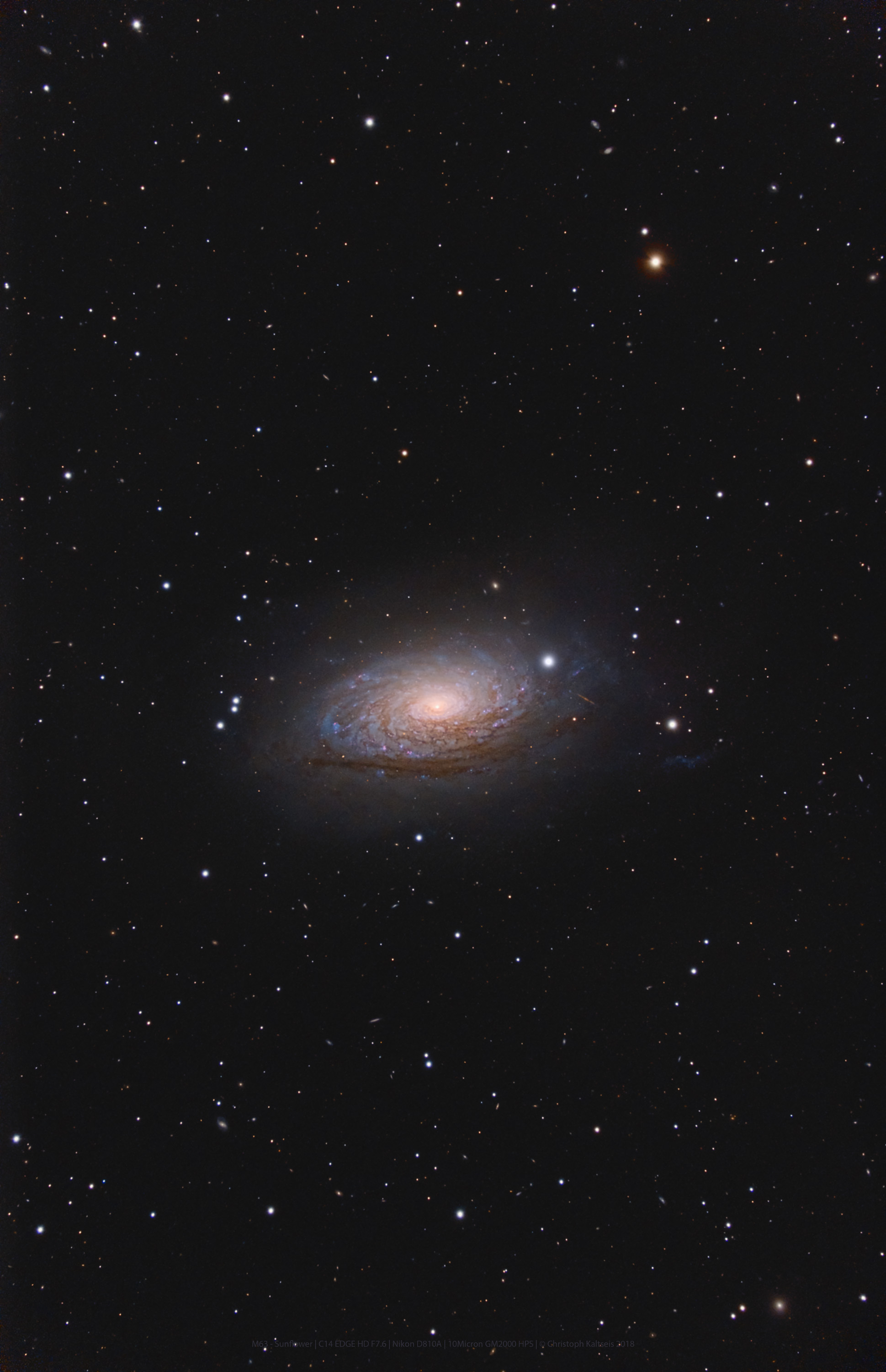 M63, Sunflower aufgenommen mit C14 EDGE HD - Christoph Kaltseis