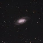 NGC 2903 mit C14 Edge HD - C. Kaltseis