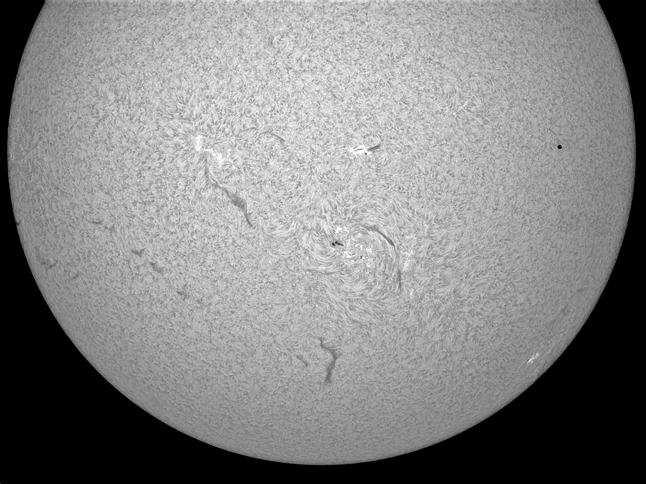 Solar Spectrum Research Grade RG 46 (46mm clear aperture) - English