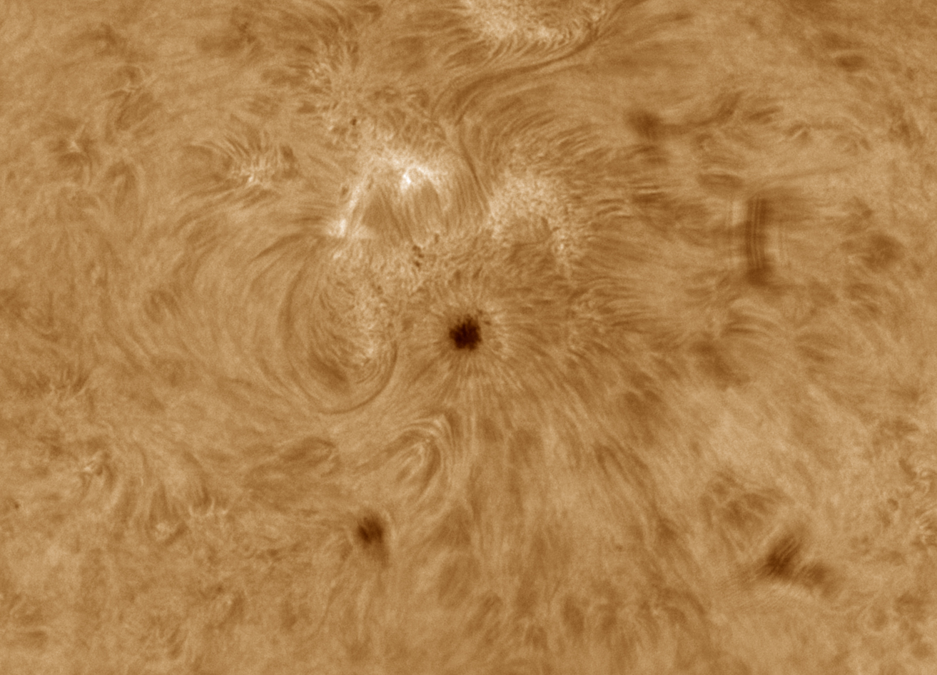 Application: taken with AP 175WDFS f/8, Baader D-ERF Filter + Solar Spectrum Research Grade RG32, Baader TZ-4 and M68 Tele-Compendium, © Kai von Schauroth