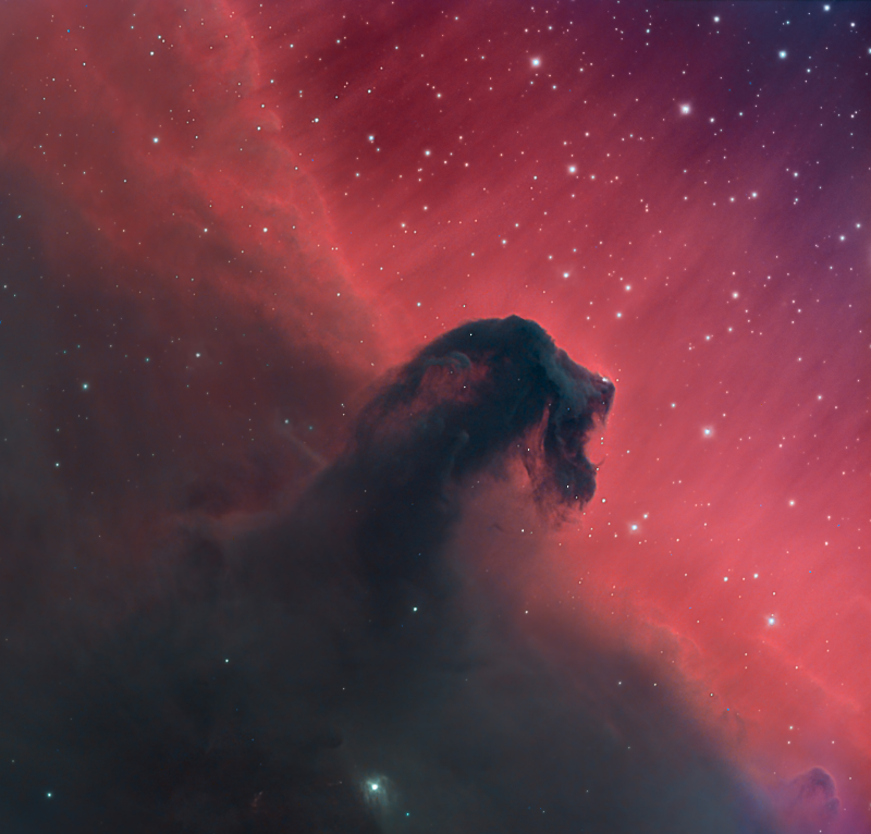 Application: IC434 taken by the “Two-Meter Twin Telescope” at the Teide Observatory of the Instituto de Astrofísica de Canarias (Tenerife, Spain) with Baader UV/IR-Cut / L, H-alpha 6.5 nm &  O-III 6.5 nm Narrwoband Filter as well as with Baader SLOAN/SDSS