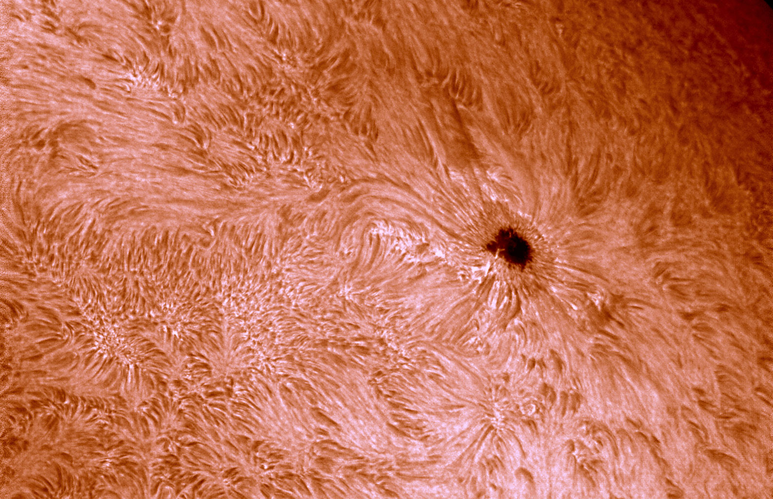  Anwendungsbild: Triband SC 925 + Solar Spectrum Observer 1.5 - 0,5A mit Telezentrischen System 3x und 0.4x F.R. und ZWO ASI294M Kamera. Aufgenommen von Mr. Ferdinando Arru (Cagliari, Italien).