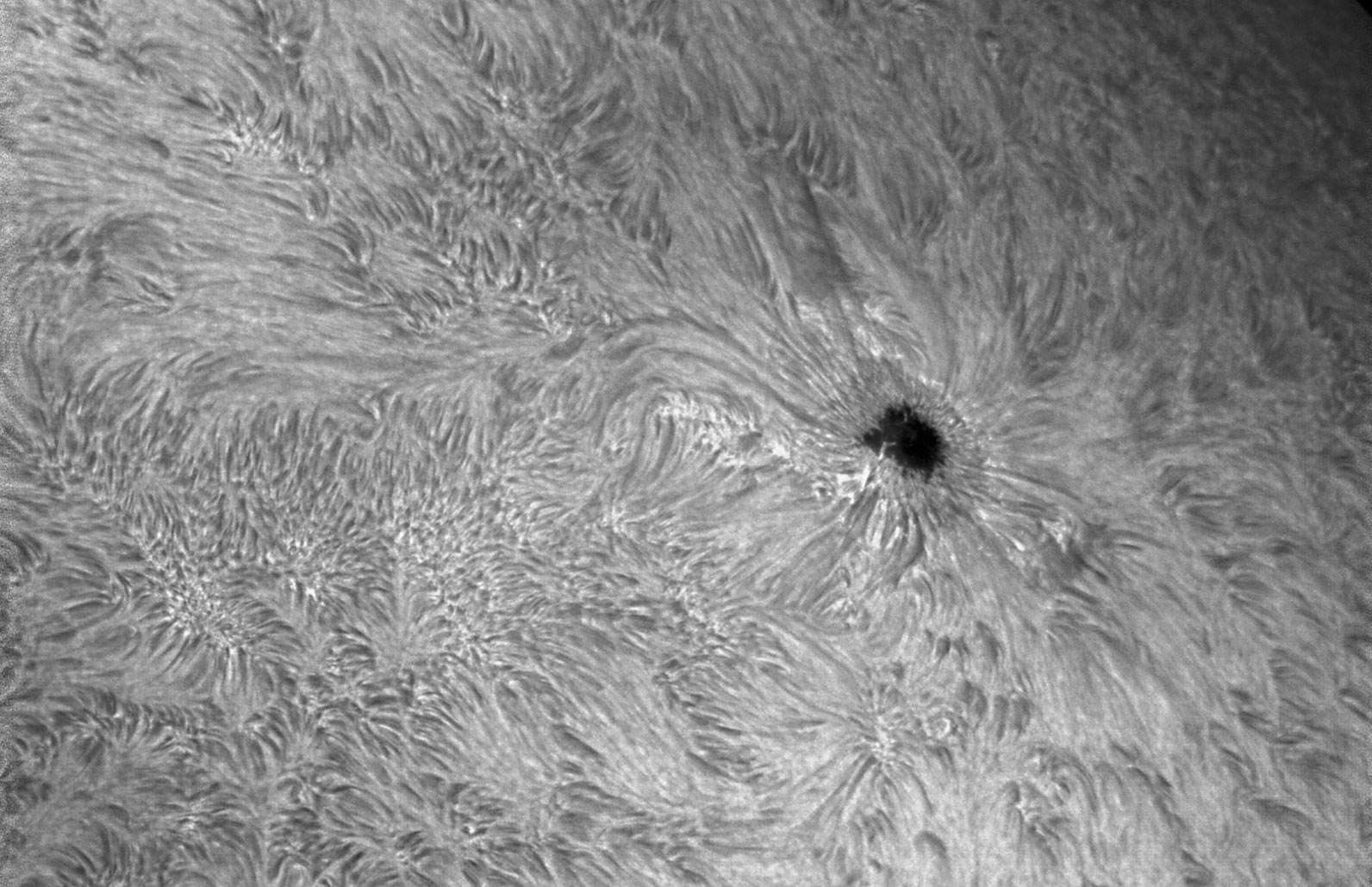  Anwendungsbild: Triband SC 925 + Solar Spectrum Observer 1.5 - 0,5A mit Telezentrischen System 3x und 0.4x F.R. und ZWO ASI294M Kamera. Aufgenommen von Mr. Ferdinando Arru (Cagliari, Italien).
