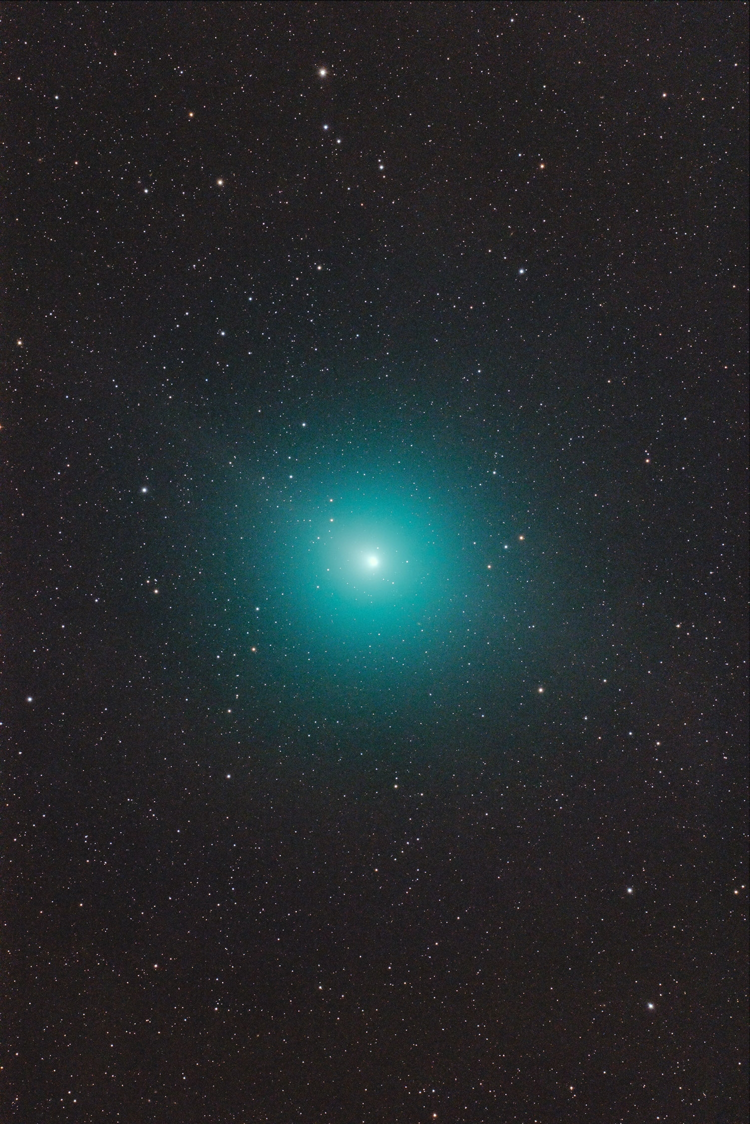 Anwendungsbild: Komet 46P/Wirtanen mit dem Baader Apo95 + D810A und volles VOLLFORMAT Gesichtsfeld! von C. Kaltseis