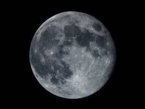Mond